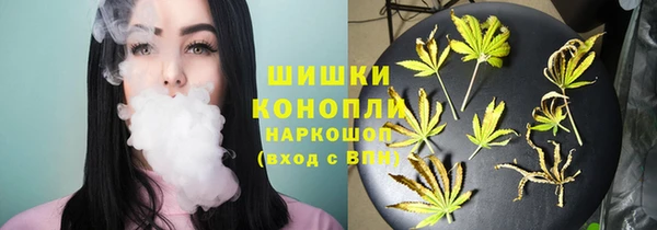 крисы Верхний Тагил
