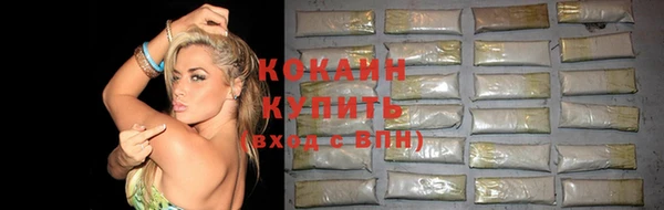 гидропоника Бородино