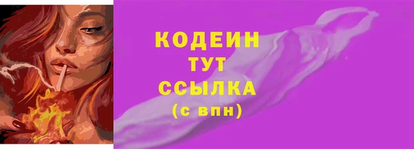 крисы Верхний Тагил