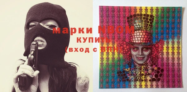 крисы Верхний Тагил