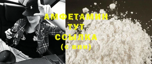 крисы Верхний Тагил