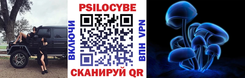 Псилоцибиновые грибы Psilocybine cubensis  наркотики  Подольск 