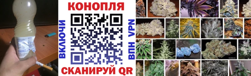 Бошки марихуана SATIVA & INDICA  купить  цена  гидра tor  Подольск 